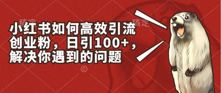 小红书如何高效引流创业粉，日引100+，解决你遇到的问题