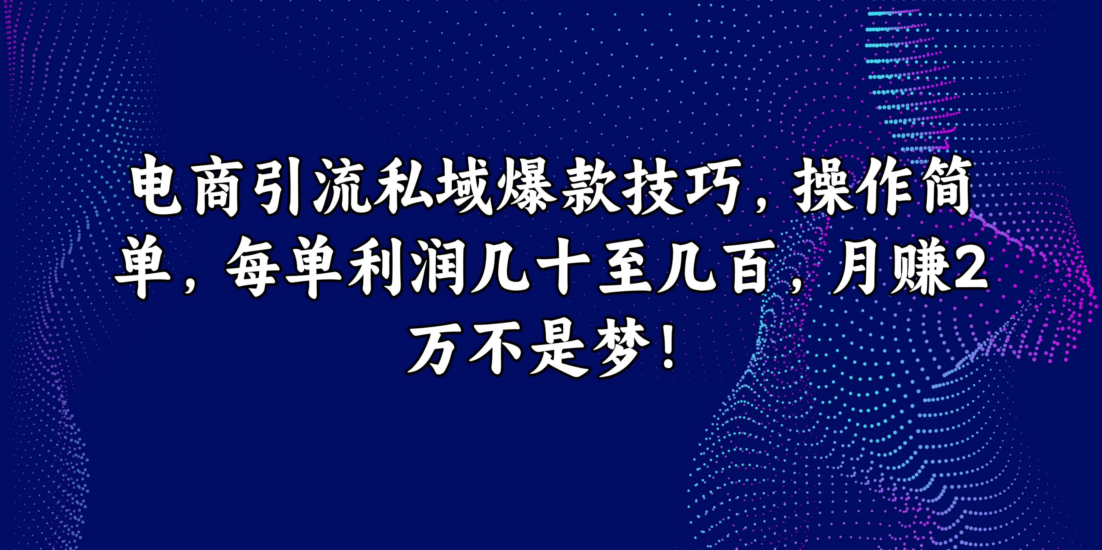 电商引流私域爆款技巧，操作简单，每单利润几十至几百，月赚2万不是梦！