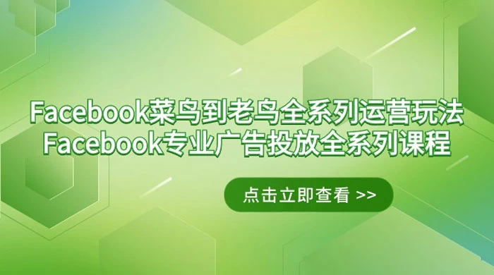 Facebook 菜鸟到老鸟全系列运营玩法 + Facebook 专业广告投放全系列课程